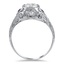 The Tomo Ring, smallside view
