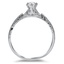 The Cyprian Ring, smallside view