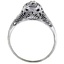 The Tarragon Ring, smallside view