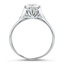 The Wilhelmine Ring, smallside view