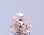 1.03 Ct. Fancy Light Pinkish Brown Heart Lab Grown Diamond