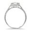The Merola Ring, smallside view