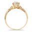 The Kathie Ring, smallside view