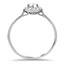 The Oakside Ring, smallside view