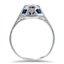 The Rosann Ring, smallside view