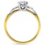 The Emma Ring, smallside view
