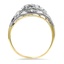 The Alomar Ring, smallside view