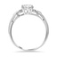 The Lyndell Ring, smallside view