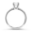 The Ludlow Ring, smallside view
