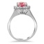 The Bradley Ring, smallside view