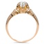 The Janita Ring, smallside view