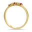 The Alan Ring, smallside view