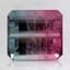 12.1x10.9mm Unheated Bi-Color Emerald Tourmaline