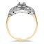 The Julee Ring, smallside view