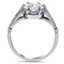 The Zamora Ring, smallside view