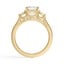 Three Stone Hidden Accent Diamond Ring, smallview
