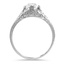 The Lyell Ring, smallside view