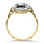 The Lynelle Ring, smallside view