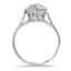 The Kernohan Ring, smallside view