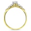 The Corella Ring, smallside view