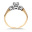 The Alda Ring, smallside view
