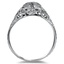 The Avril Ring, smallside view