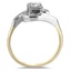 The Kendale Ring, smallside view