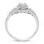 The Camdan Ring, smallside view