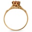 The Villette Ring, smallside view