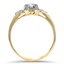 The Tammie Ring, smallside view