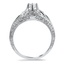 The Vineberg Ring, smallside view