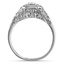 The Johnston Ring, smallside view