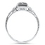 The Annapolis Ring, smallside view