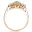 The Iliana Ring, smallside view