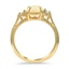 The Rodina Ring, smallside view