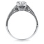 The Lavaliere Ring, smallside view