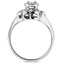 The Shelley Ring, smallside view