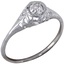 The Valentina Ring, smallside view