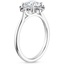 18K White Gold Sol Diamond Ring with Lab Alexandrite Accents, smallside view