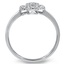 The Monita Ring, smallside view