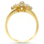 The Ximena Ring, smallside view