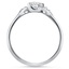 The Coquina Ring, smallside view
