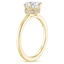 18K Yellow Gold Hidden Halo Six-Prong Diamond Ring, smallside view