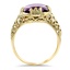 The Adaven Ring, smallside view