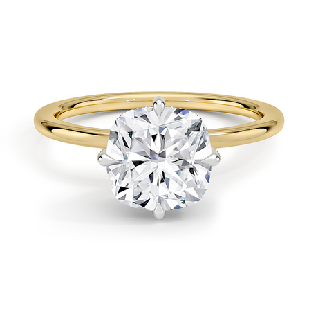 Adorned Mixed Metal Compass Prong Diamond Ring