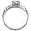 The Dogwood Ring, smallside view
