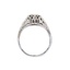 The Delphine Ring, smallside view