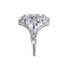 The Hadley Ring, smallside view