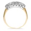The Tanisa Ring, smallside view