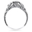 The Sarit Ring, smallside view